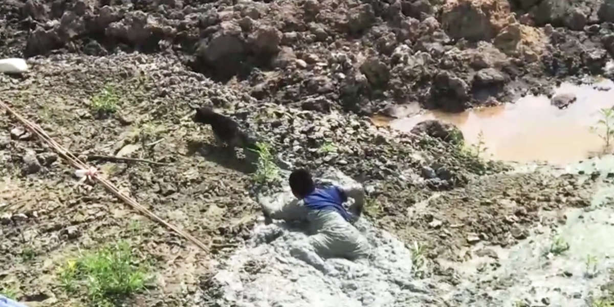 Dog Is Trapped In Middle Of Mud Pit - Videos - The Dodo