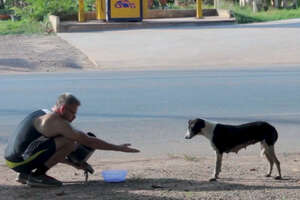 Guy Spends 16 Hours A Day Feeding Stray Dogs
