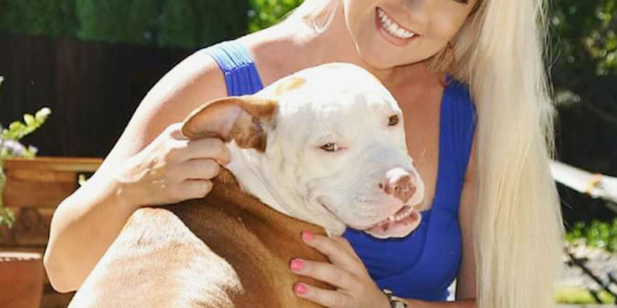 This Might Be The Sweetest 'Who Rescued Who' Story Ever - Videos - The Dodo