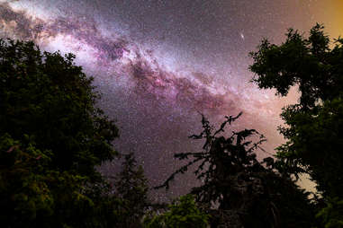 where to watch the perseids