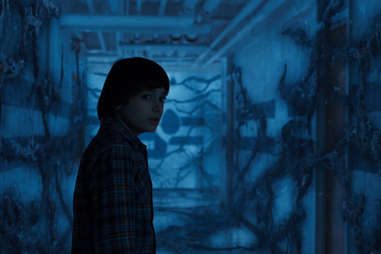 wil byers in the upside down