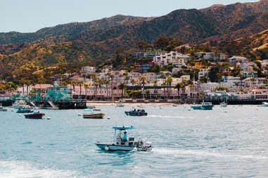 Avalon Harbor, Catalina Island