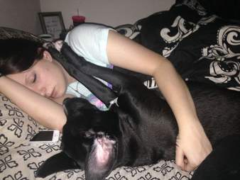 Fenway the dog sleeps in bed with his owner