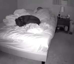 Woman films herself sharing a bed with her dog