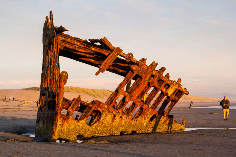 shipwreck Peter Iredale