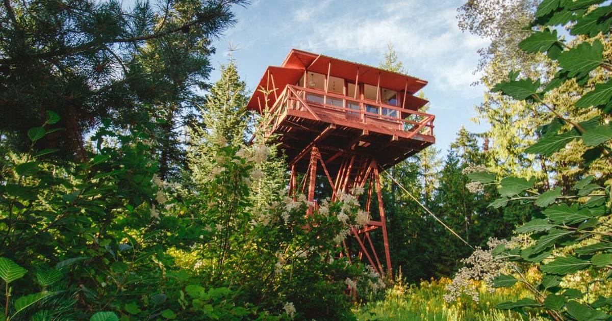 Best Airbnb Treehouses To Rent Right Now Real Treehouses You Can Book Thrillist