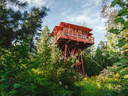 Best Airbnb Treehouses To Rent Right Now: Real Treehouses You Can Book ...