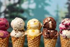 Portland's Most Essential Spots For Every Kind of Ice Cream