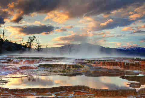 yellowstone