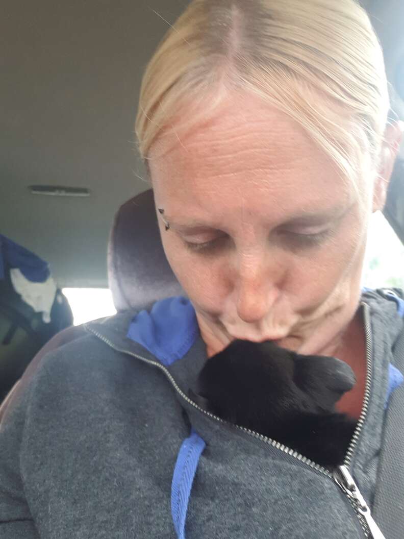 tiny rescue puppy