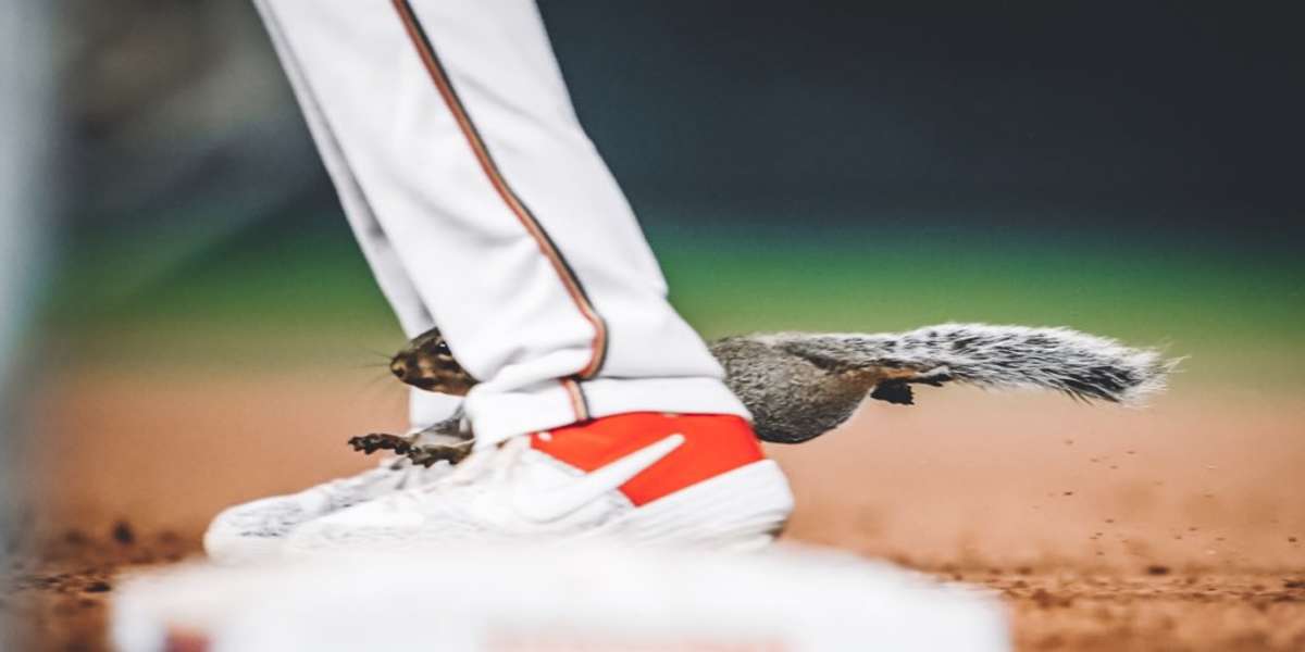 Squirrel Interrupts Baseball Game The Dodo