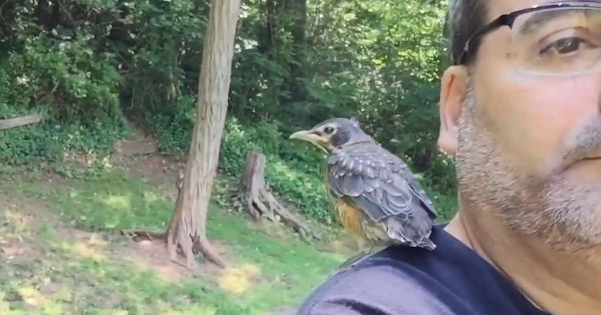 man takes in rescue birds