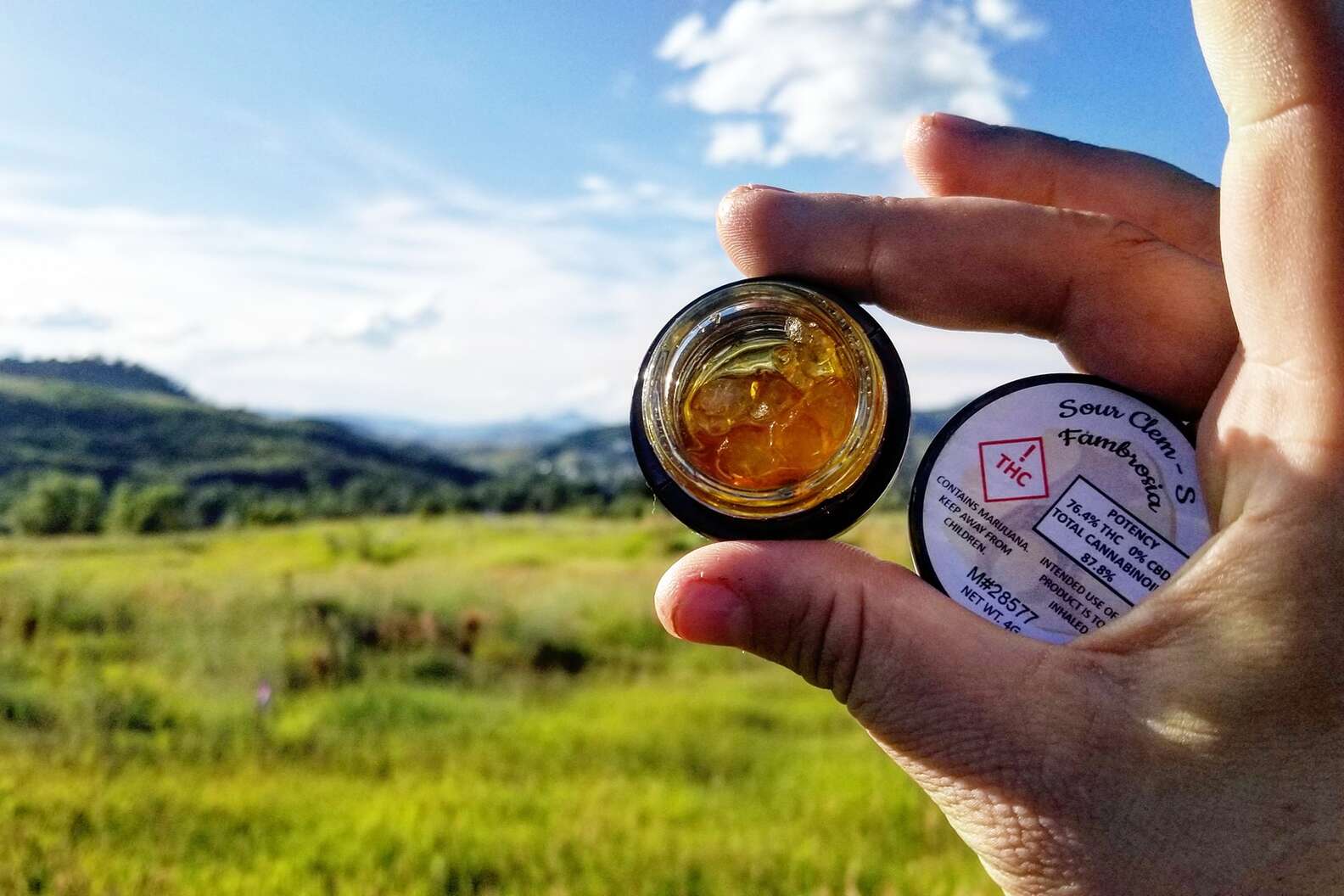 Apothecary Extracts - CO