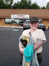 rescue eagle