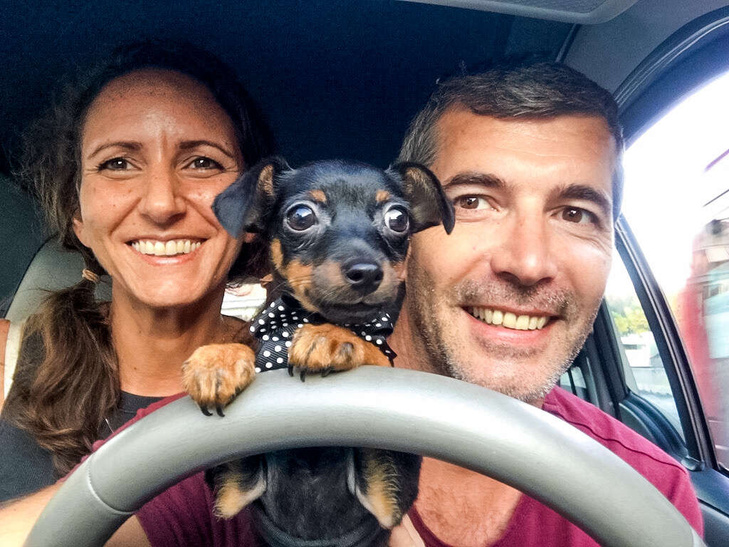 Taco the Miniature Pinscher with his owners