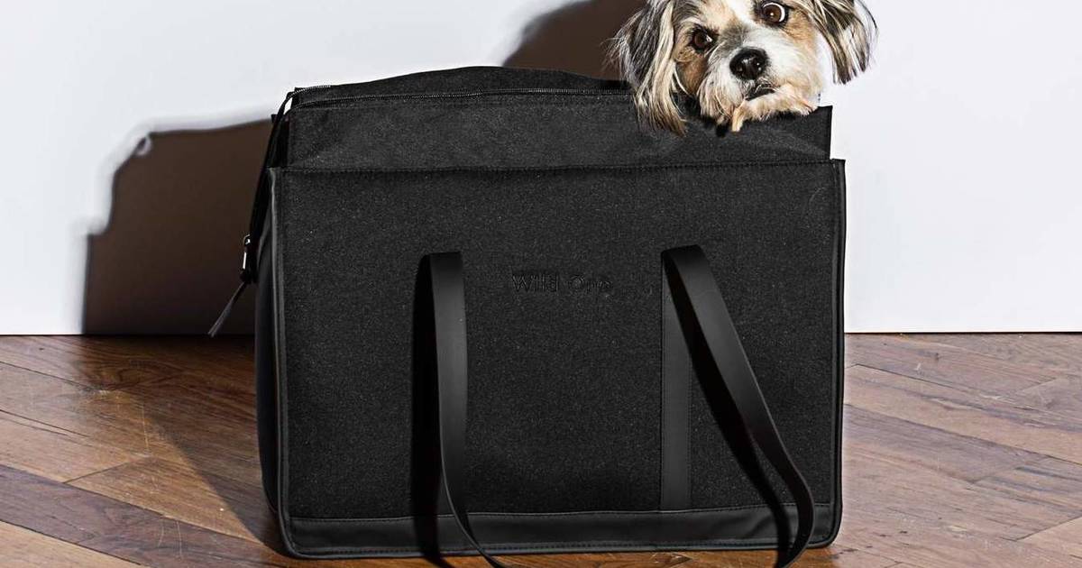 Wild One Dog Carrier Review The Dodo