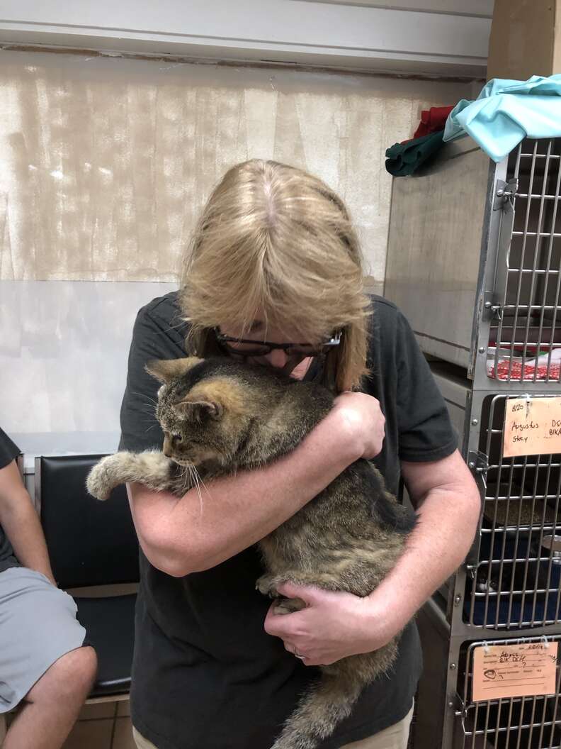 SoCal cat missing for 12 years reunited with family who'd moved to