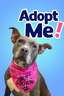 Adopt Me!