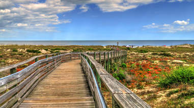 amelia island