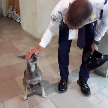 Security guard and his favorite dog Franci