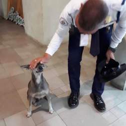 Security guard and his favorite dog Franci