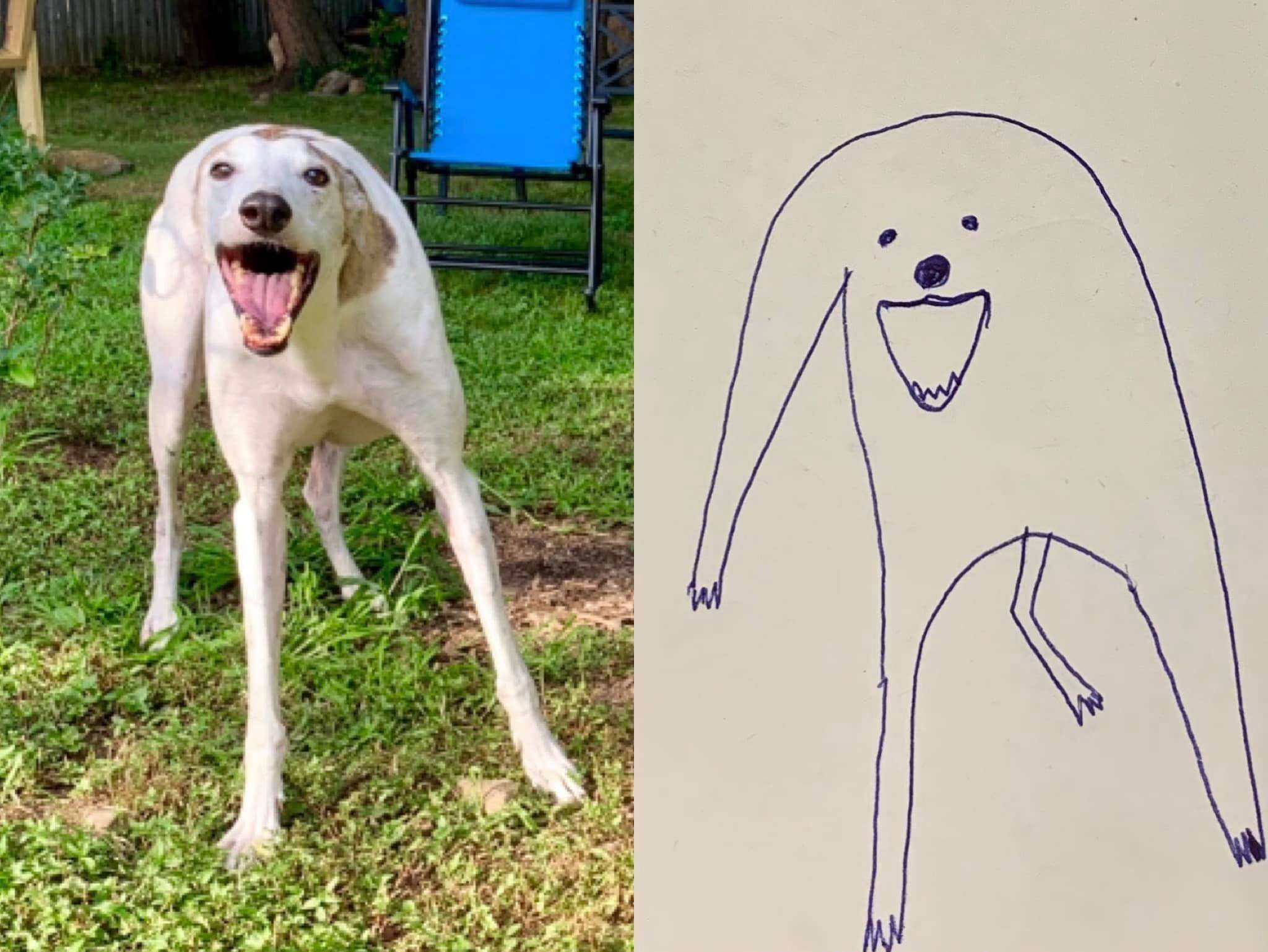 guy draws dog