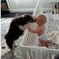 Dog And Baby Have The Most Adorable After-Nap Routine