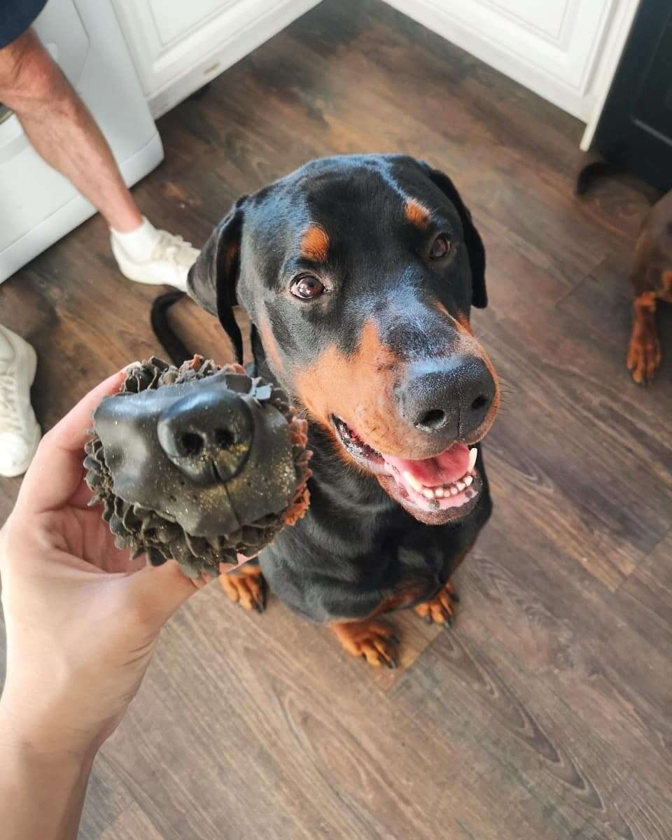 dog nose cupcakes