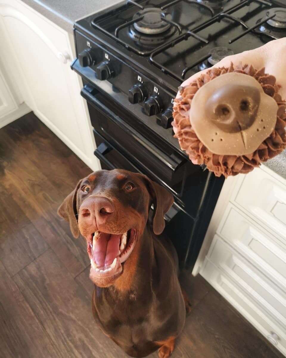 dog nose cupcakes