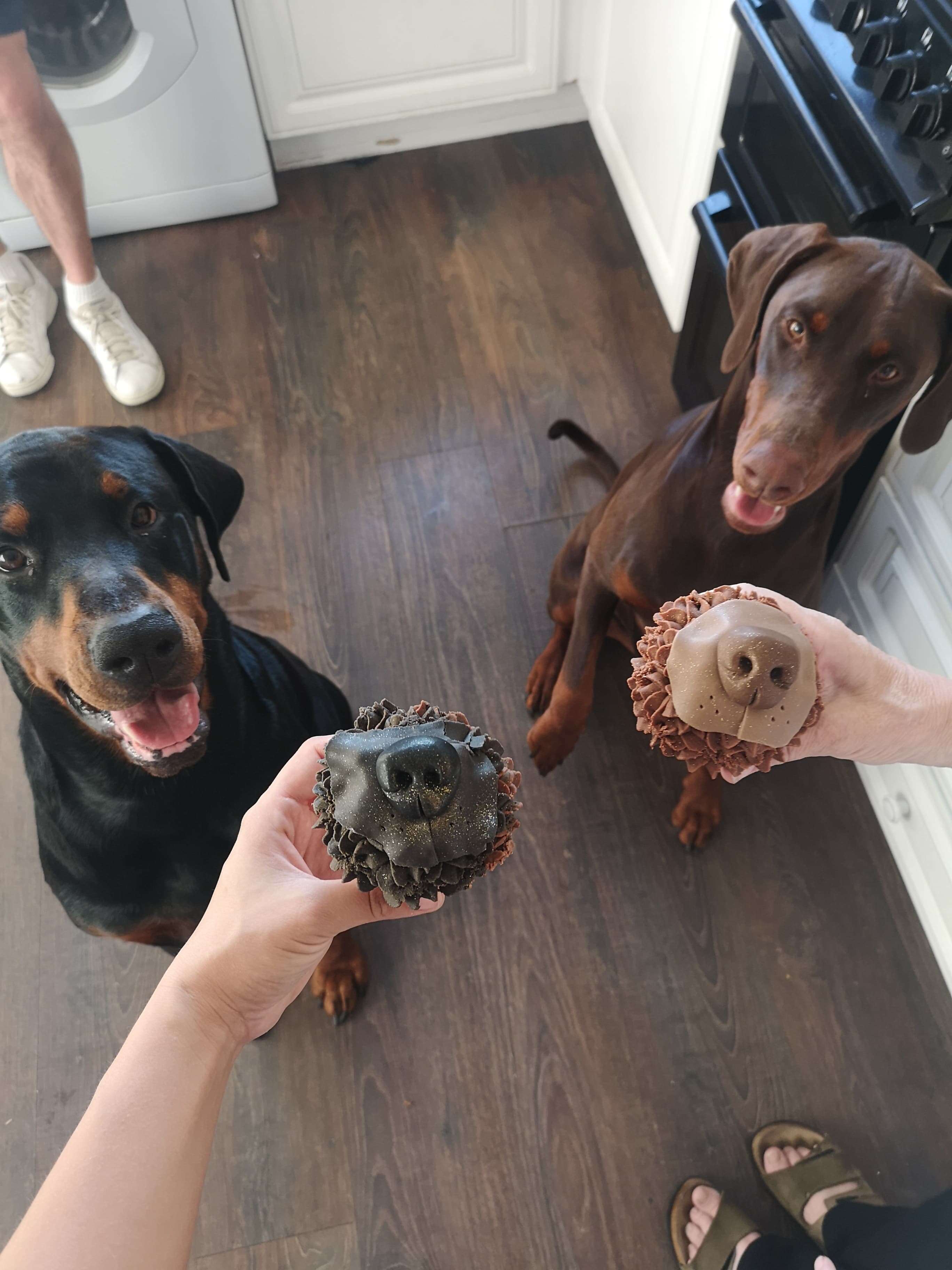 dog nose cupcakes