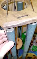 Man finds treefrogs in wind chimes