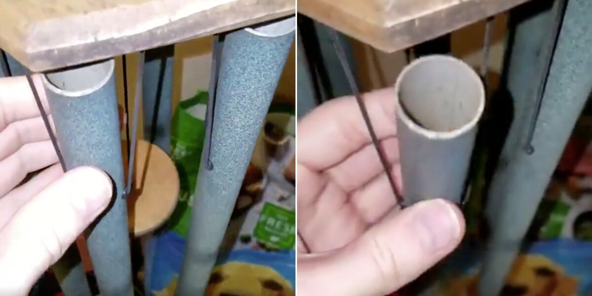 Man finds tiny frogs hiding in wind chimes from Hurricane Dorian