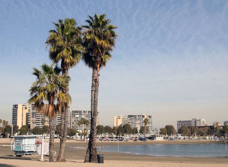 Marina del Rey