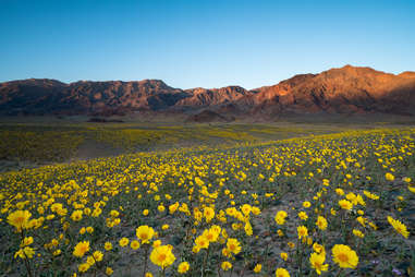 Death Valley National Park