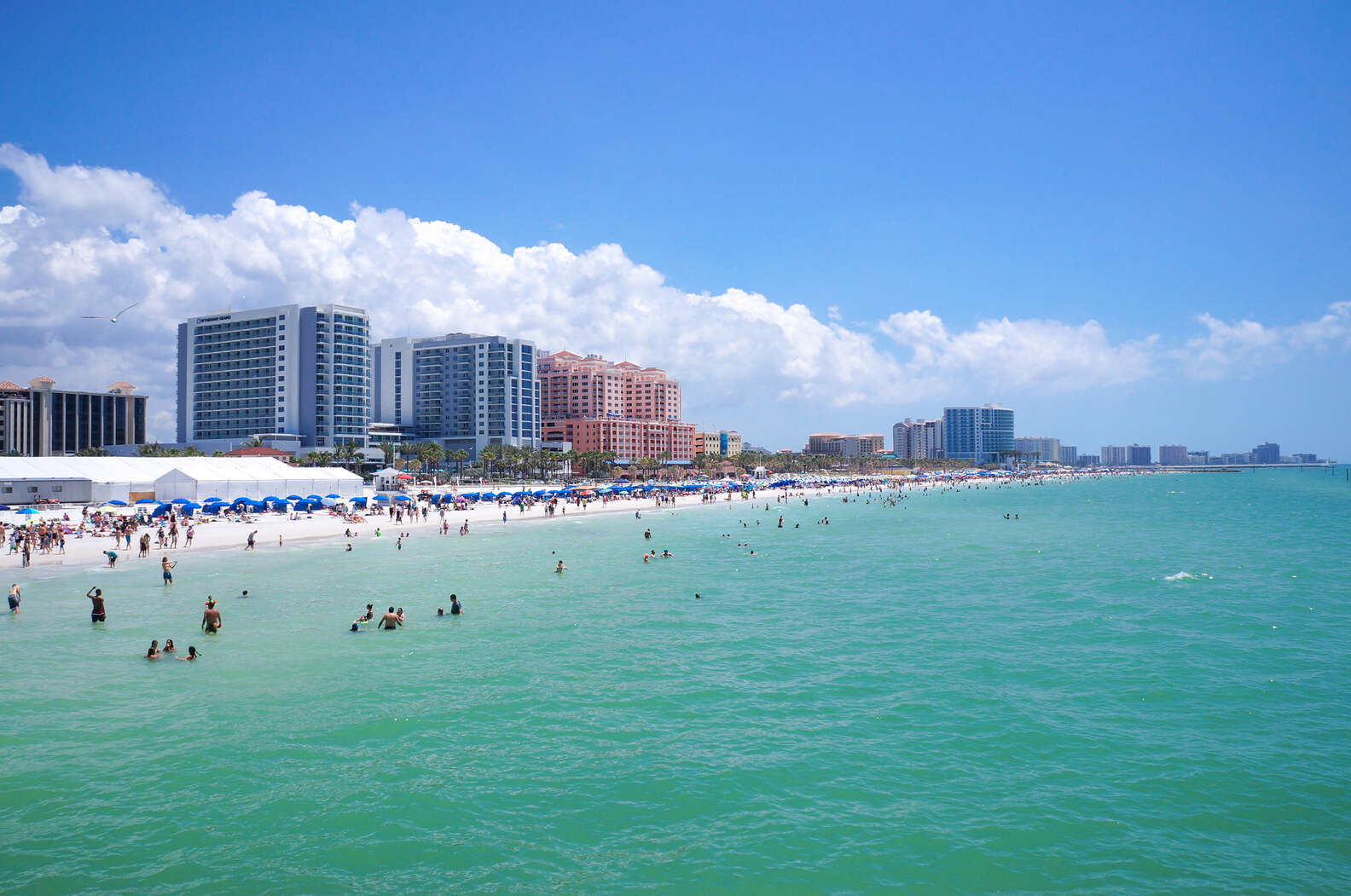 Best Beaches in Tampa Bay: Clearwater, Redington & More - Thrillist