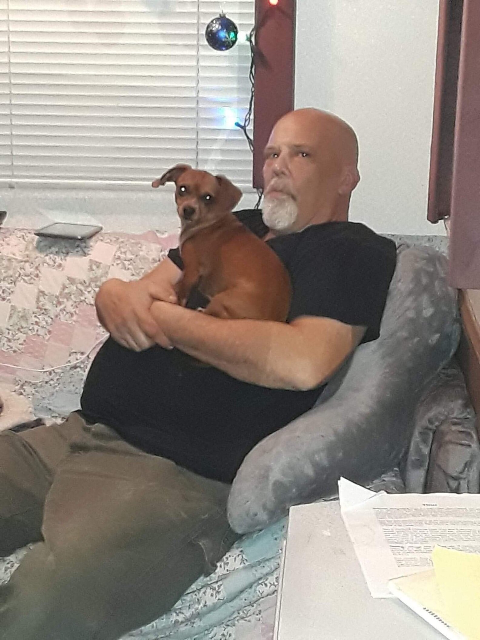 Dog Comforts Sick Dad In Hospital - The Dodo
