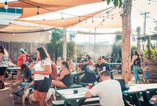 Austin's Best Dog-Friendly Places to Eat & Drink With Puppers