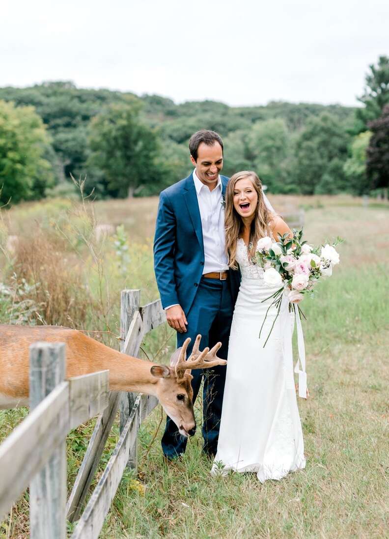 Deer photobombs Michigan couple's wedding photos