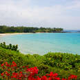 Hapuna Beach State Park