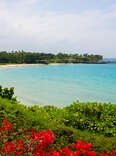 Hapuna Beach State Park