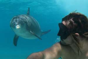 Meet The Friendliest Wild Dolphin In The World