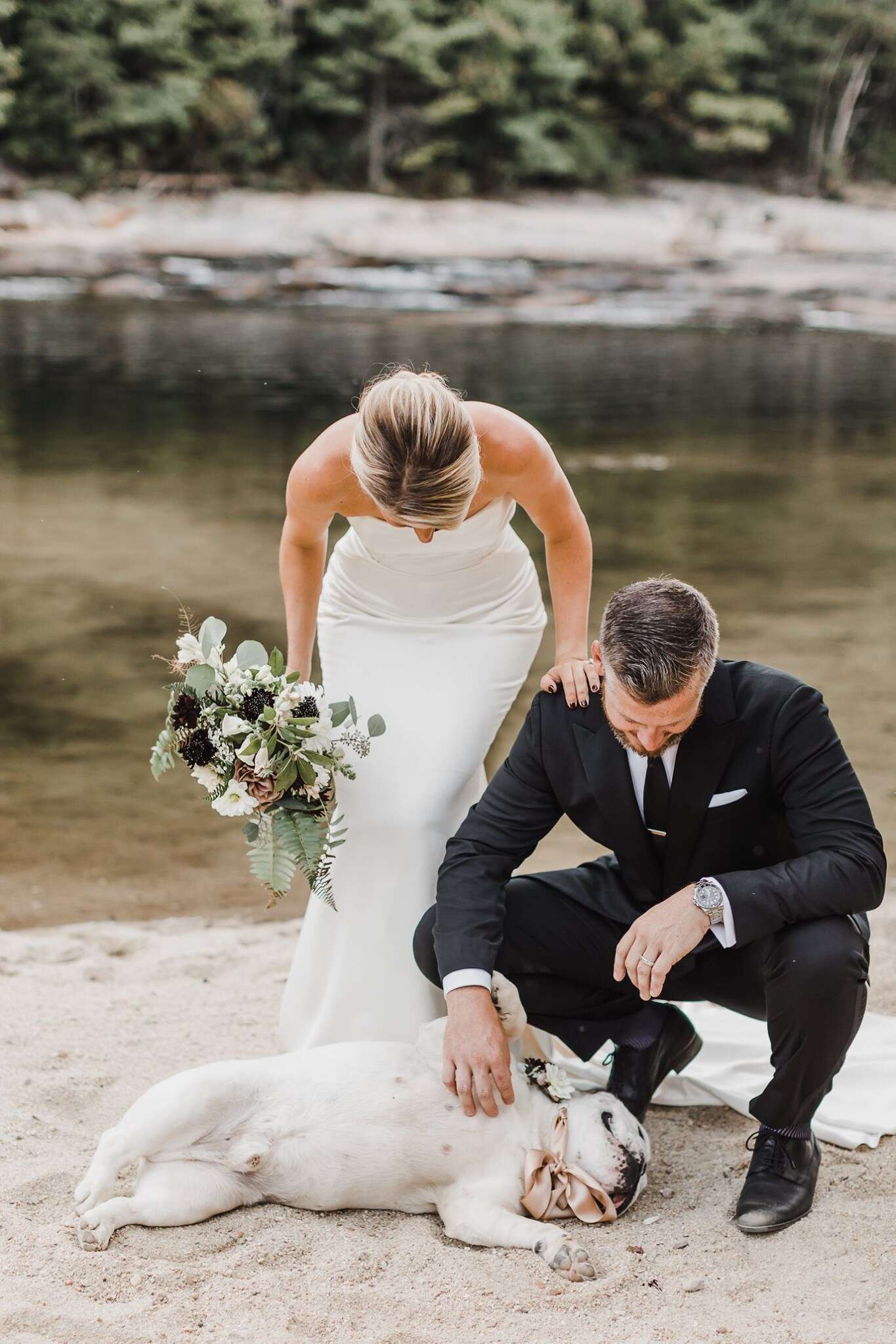 dog wedding photo shoot