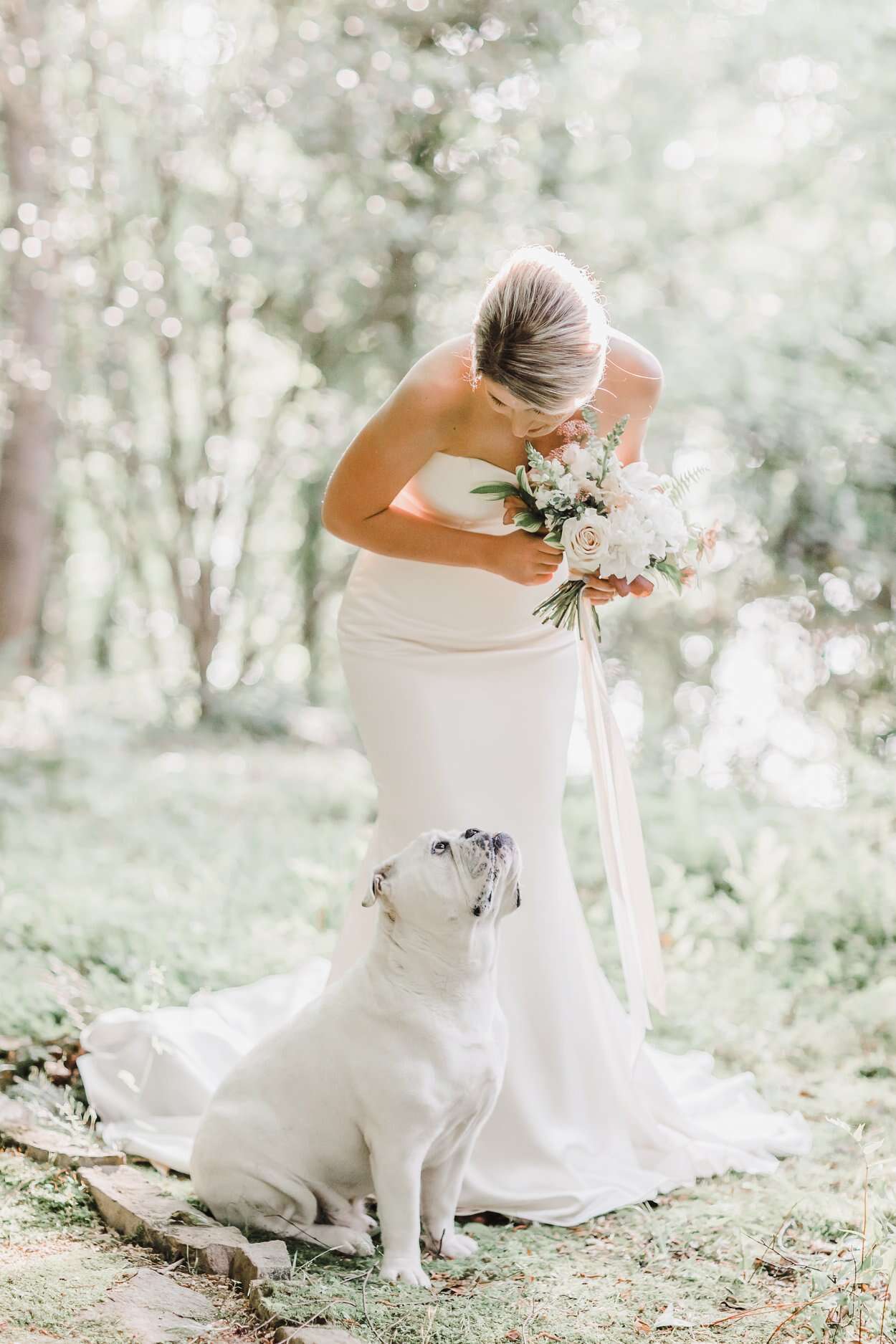 dog wedding photo shoot