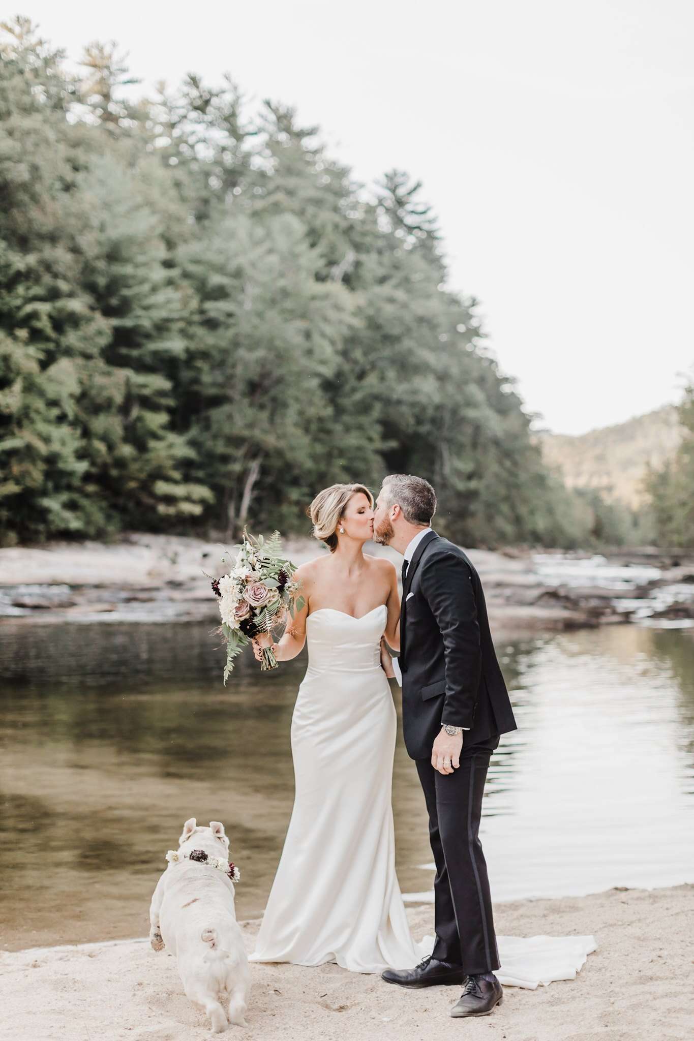 dog wedding photo shoot