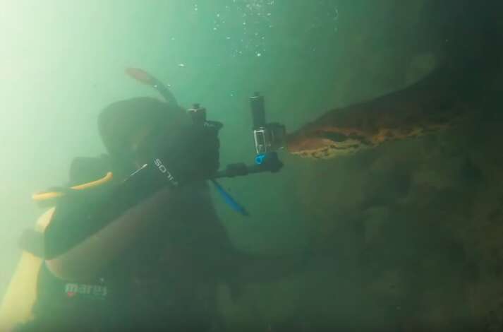 Diver swims with 23-foot anaconda 