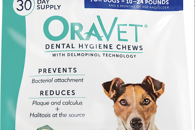 healthy dental treats for dogs