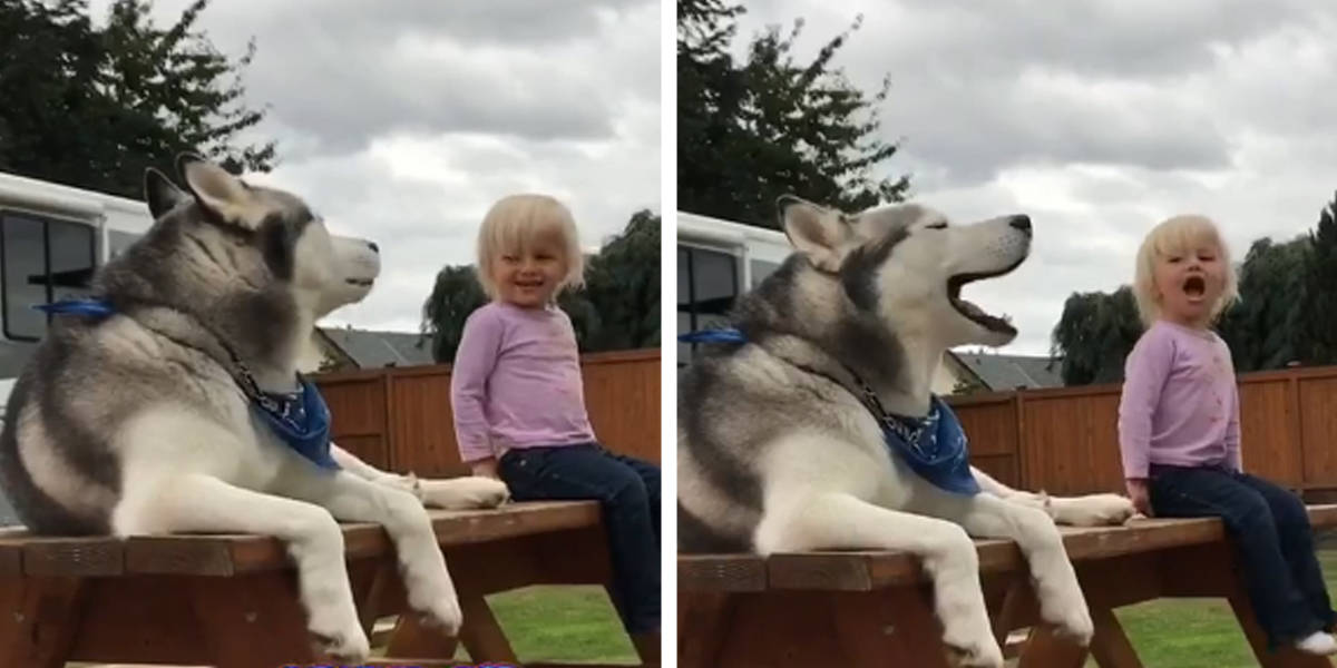 Little Girl And Dog Have Full Conversation In A Language All Their Own - The Dodo