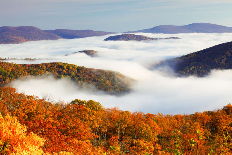 fog floating above mountains and forests