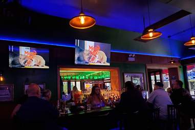 Best Chicago Dive Bars Where To Find Good Cheap Neighborhood