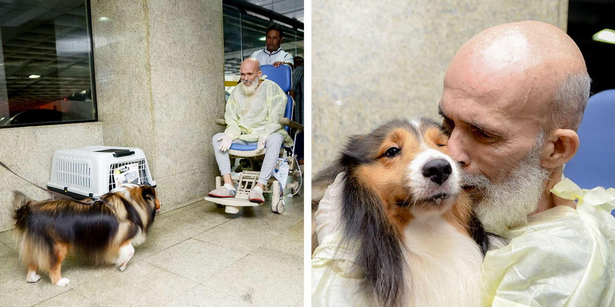 Doctor Surprised By Patient's Improvement After Visit From His Dog
